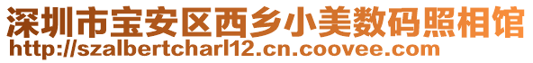 深圳市寶安區(qū)西鄉(xiāng)小美數(shù)碼照相館