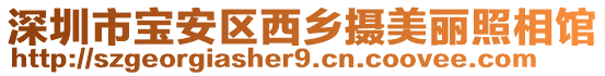 深圳市寶安區(qū)西鄉(xiāng)攝美麗照相館