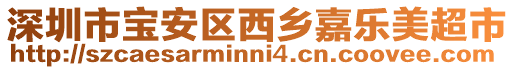 深圳市寶安區(qū)西鄉(xiāng)嘉樂美超市