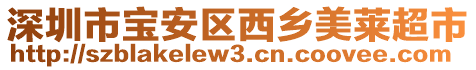 深圳市寶安區西鄉美萊超市
