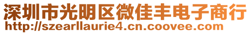深圳市光明區(qū)微佳豐電子商行