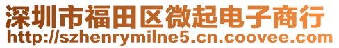 深圳市福田區微起電子商行