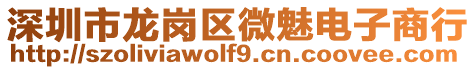 深圳市龍崗區微魅電子商行