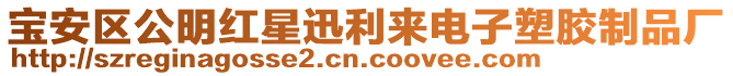 寶安區(qū)公明紅星迅利來電子塑膠制品廠