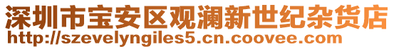 深圳市寶安區(qū)觀瀾新世紀雜貨店