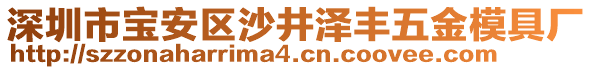 深圳市寶安區(qū)沙井澤豐五金模具廠