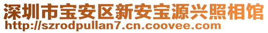 深圳市寶安區(qū)新安寶源興照相館