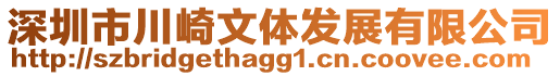 深圳市川崎文體發(fā)展有限公司