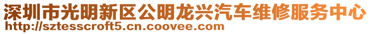 深圳市光明新區(qū)公明龍興汽車(chē)維修服務(wù)中心