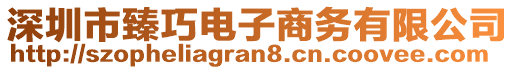 深圳市臻巧電子商務(wù)有限公司