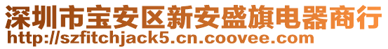 深圳市寶安區(qū)新安盛旗電器商行