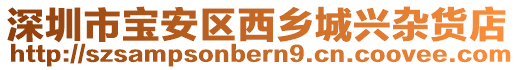 深圳市寶安區西鄉城興雜貨店