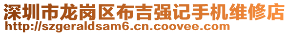 深圳市龍崗區(qū)布吉強記手機維修店