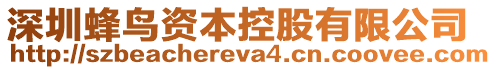 深圳蜂鳥資本控股有限公司