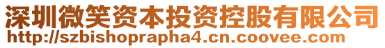 深圳微笑資本投資控股有限公司