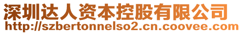 深圳達人資本控股有限公司