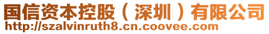 國信資本控股(深圳)有限公司