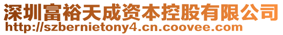 深圳富裕天成資本控股有限公司