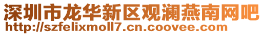 深圳市龍華新區(qū)觀瀾燕南網(wǎng)吧