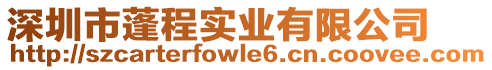 深圳市蓬程實業(yè)有限公司