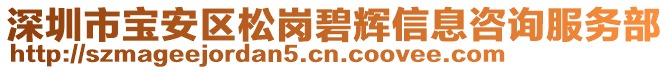 深圳市寶安區(qū)松崗碧輝信息咨詢服務(wù)部