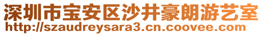 深圳市寶安區(qū)沙井豪朗游藝室