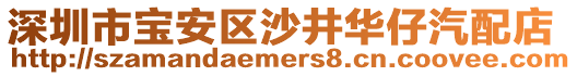 深圳市寶安區(qū)沙井華仔汽配店