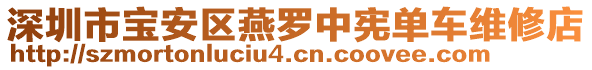 深圳市寶安區(qū)燕羅中憲單車維修店