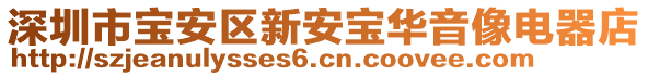 深圳市寶安區(qū)新安寶華音像電器店