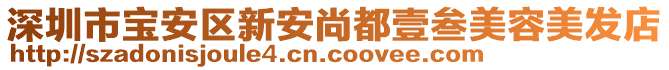 深圳市寶安區(qū)新安尚都壹叁美容美發(fā)店