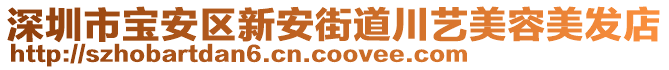 深圳市寶安區(qū)新安街道川藝美容美發(fā)店