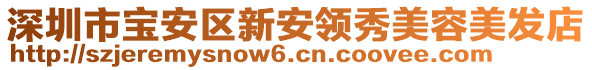 深圳市寶安區(qū)新安領(lǐng)秀美容美發(fā)店