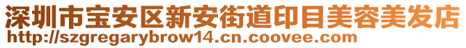 深圳市寶安區(qū)新安街道印目美容美發(fā)店