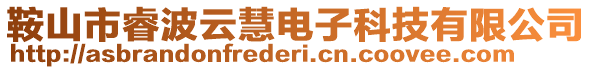 鞍山市睿波云慧電子科技有限公司