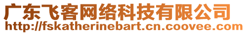 廣東飛客網(wǎng)絡(luò)科技有限公司