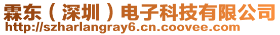 霖東（深圳）電子科技有限公司