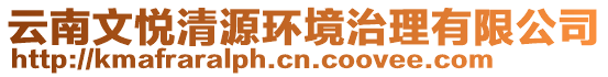 云南文悅清源環(huán)境治理有限公司