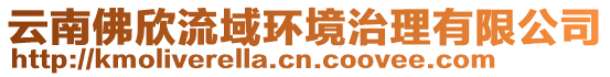 云南佛欣流域環(huán)境治理有限公司