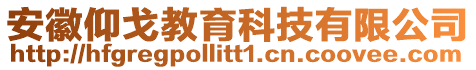安徽仰戈教育科技有限公司