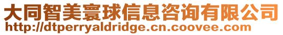 大同智美寰球信息咨詢有限公司