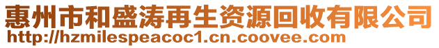 惠州市和盛濤再生資源回收有限公司