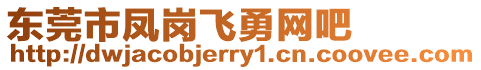 東莞市鳳崗飛勇網(wǎng)吧