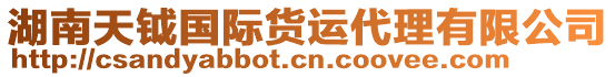 湖南天鉞國(guó)際貨運(yùn)代理有限公司