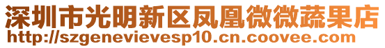 深圳市光明新區(qū)鳳凰微微蔬果店