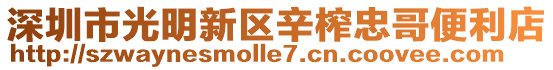 深圳市光明新區(qū)辛榨忠哥便利店