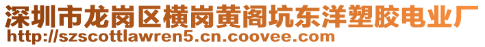 深圳市龍崗區橫崗黃閣坑東洋塑膠電業廠