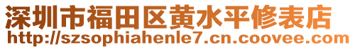 深圳市福田區黃水平修表店