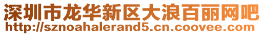 深圳市龍華新區大浪百麗網吧