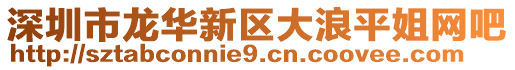 深圳市龍華新區大浪平姐網吧