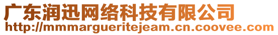 廣東潤迅網(wǎng)絡(luò)科技有限公司